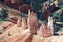 C009  N.P. Bryce canyon